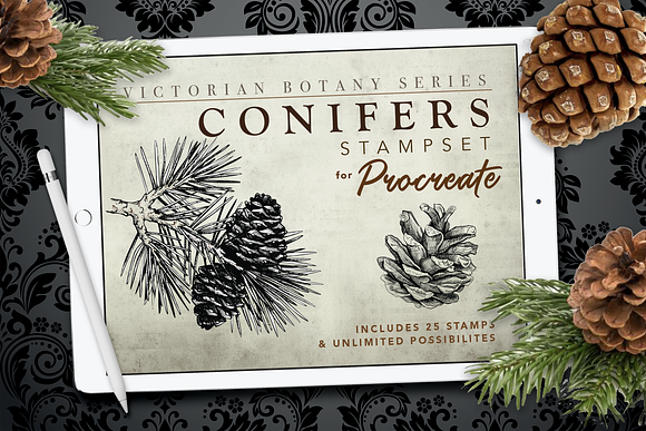 Procreate Conifer Stampset in Add-Ons - product preview 2