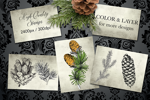 Procreate Conifer Stampset in Add-Ons - product preview 3