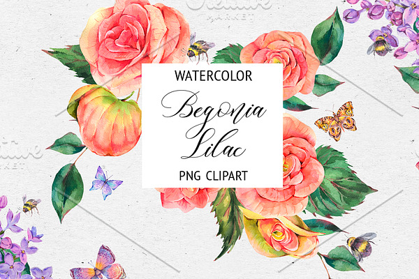 Watercolor Lilac&Begonia Clipart
