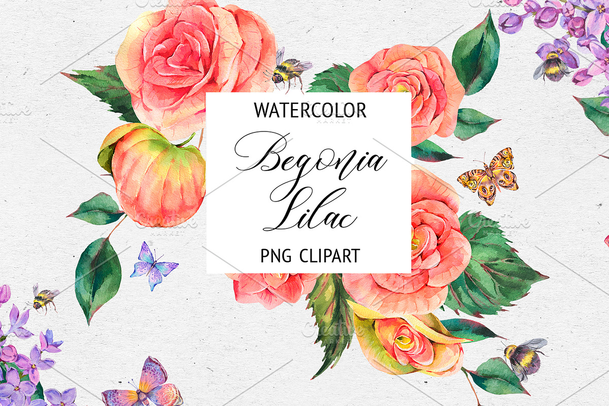 Watercolor Lilac&Begonia Clipart in Illustrations - product preview 8