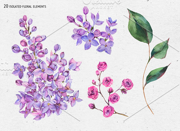 Watercolor Lilac&Begonia Clipart in Illustrations - product preview 7