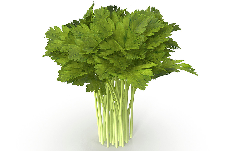 Celery Bunch in Food - product preview 8