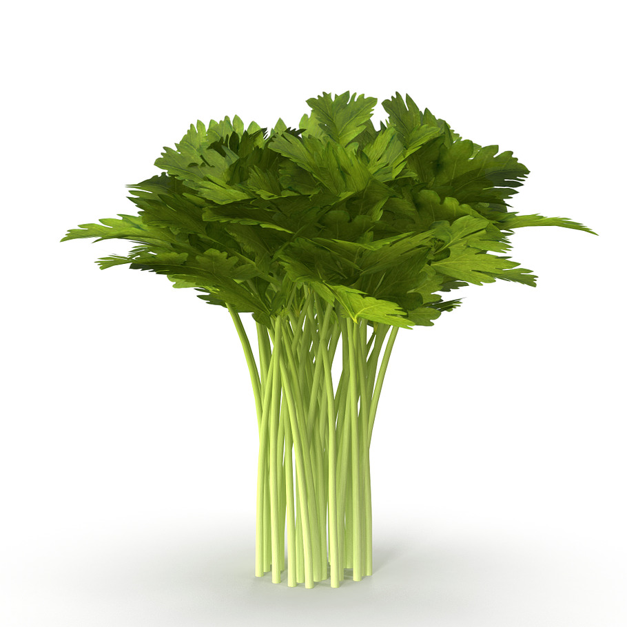 Celery Bunch in Food - product preview 2