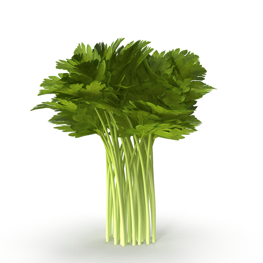 Celery Bunch in Food - product preview 3