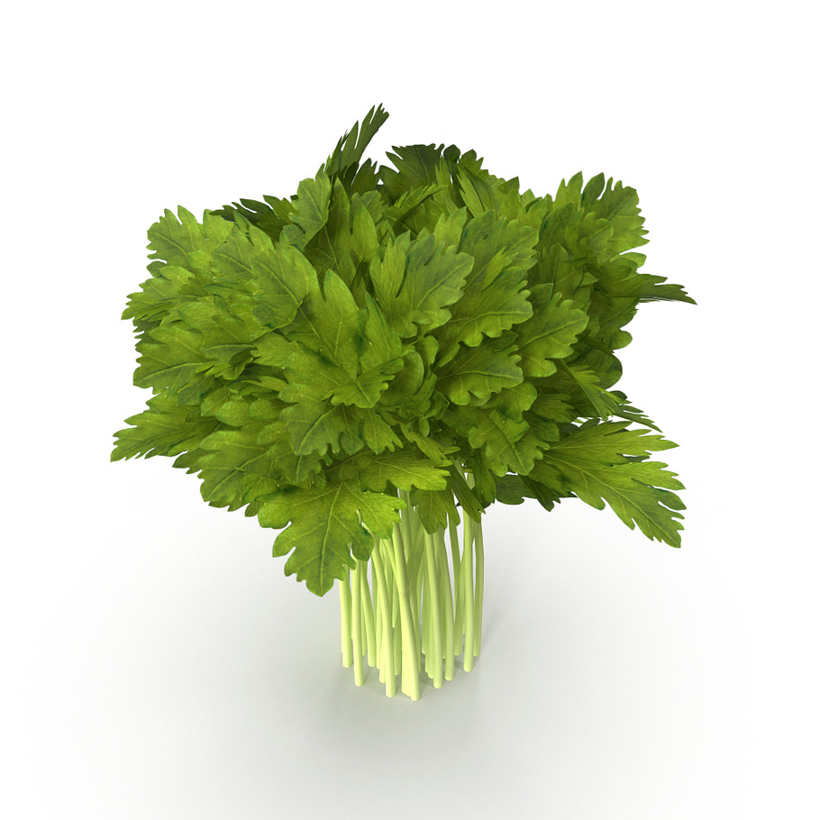 Celery Bunch in Food - product preview 4