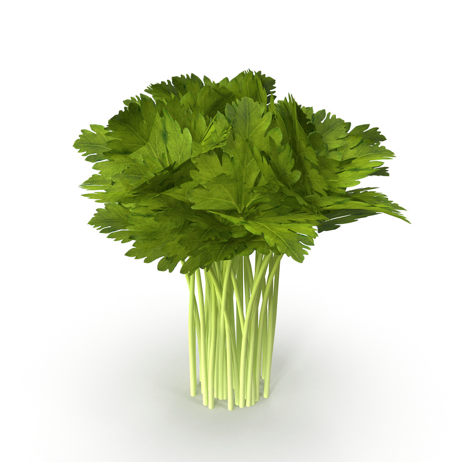Celery Bunch in Food - product preview 5