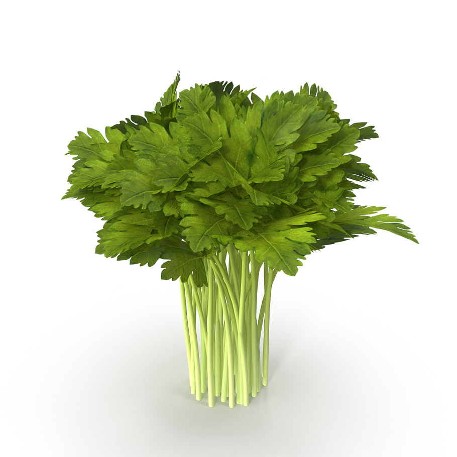 Celery Bunch in Food - product preview 7