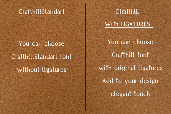-25% Crafthill. Elegant Serif Font. in Serif Fonts - product preview 15