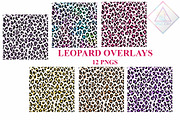 Leopard Pattern Overlay