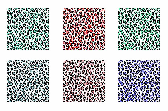 Leopard Pattern Overlay in Illustrations - product preview 2