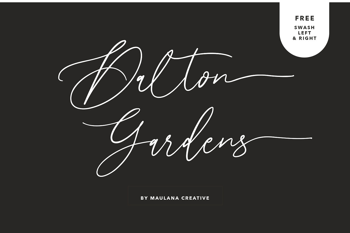 Dalton Gardens - Script Font in Script Fonts - product preview 8