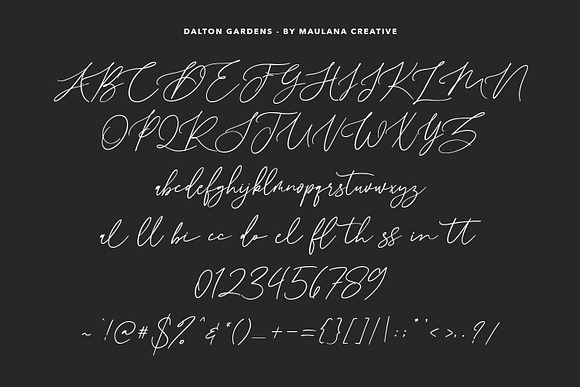 Dalton Gardens - Script Font in Script Fonts - product preview 4