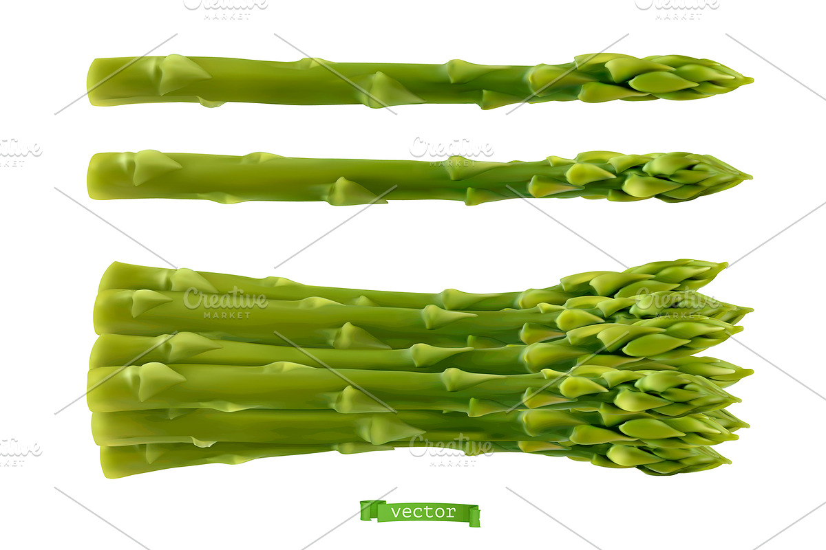 Garden asparagus, vegetable, vector in Icons - product preview 8