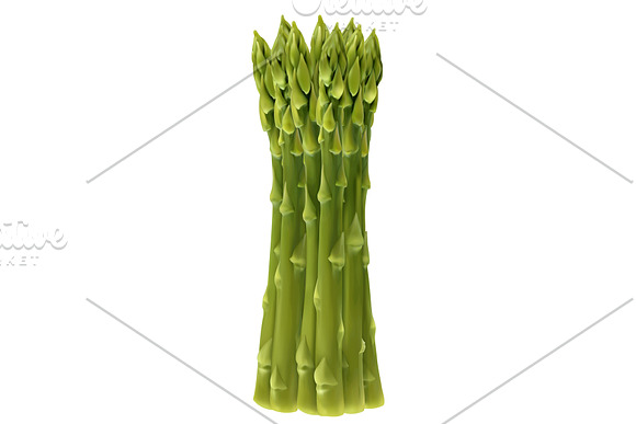 Garden asparagus, vegetable, vector in Icons - product preview 1