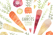 Watercolor Carrots Clipart