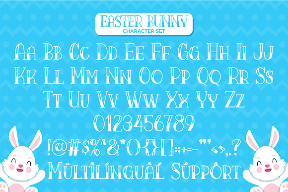 Easter Bunny in Display Fonts - product preview 4