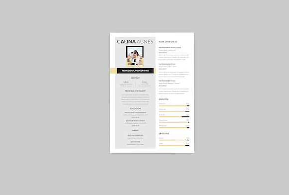Calina Photo Resume Designer in Resume Templates - product preview 3