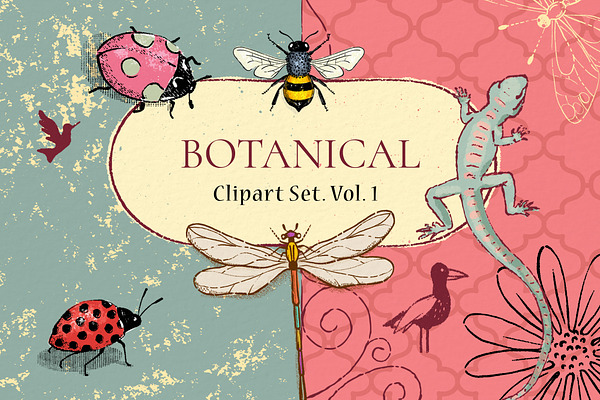 Botanical Clipart Set. Vol. 1