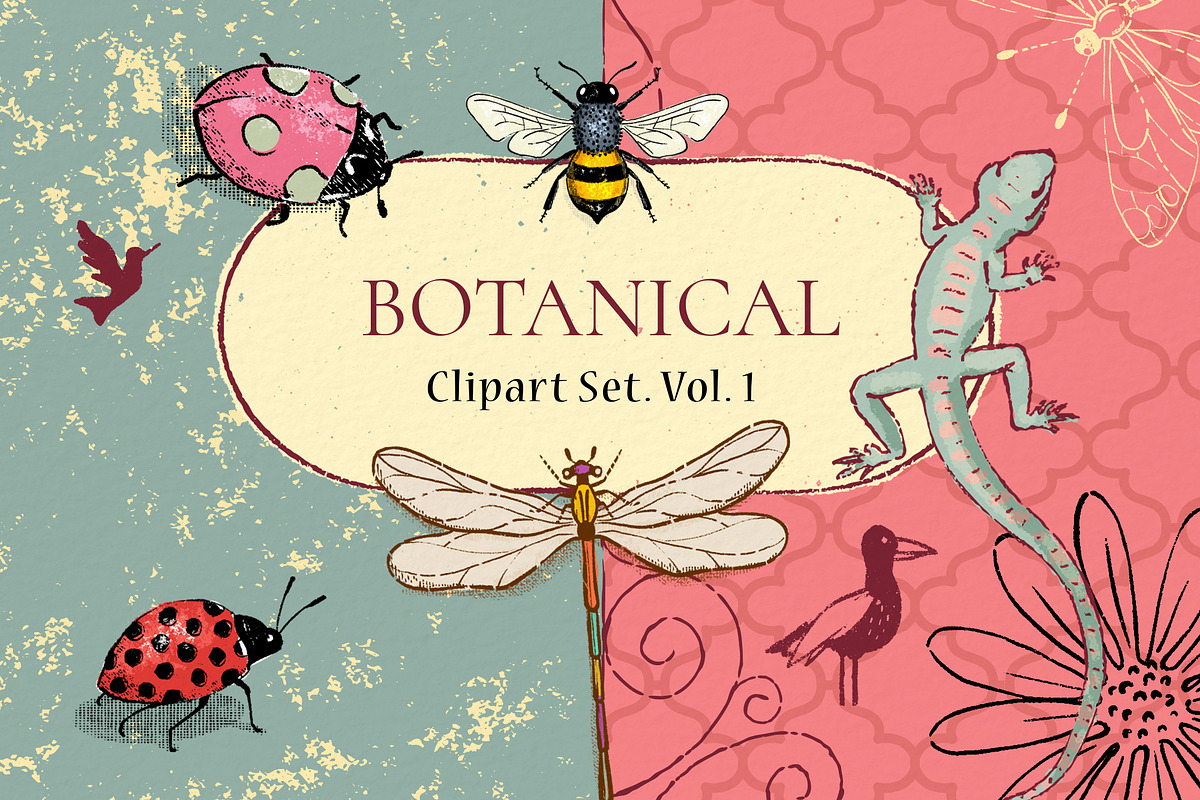 Botanical Clipart Set. Vol. 1 in Illustrations - product preview 8
