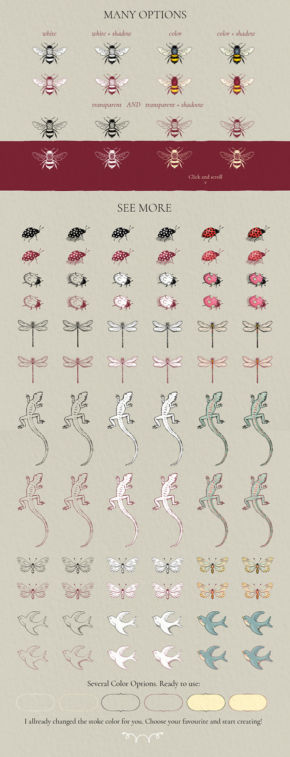 Botanical Clipart Set. Vol. 1 in Illustrations - product preview 1