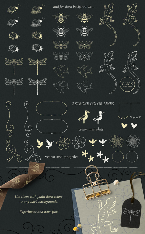 Botanical Clipart Set. Vol. 1 in Illustrations - product preview 2