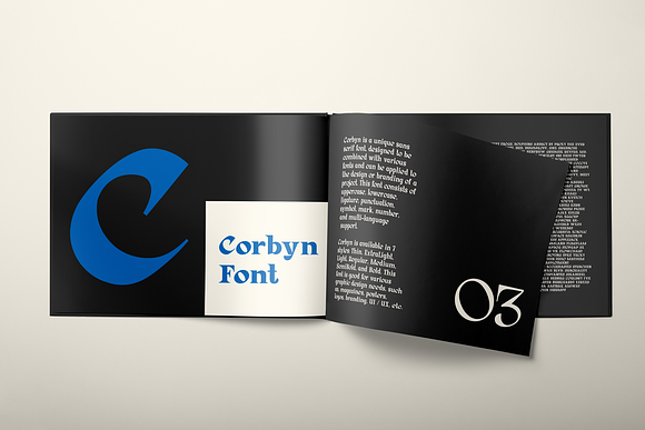 Corbyn Serif Font in Serif Fonts - product preview 9