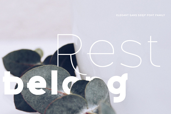 Belong Logo and Heading Font Family in Sans-Serif Fonts - product preview 14