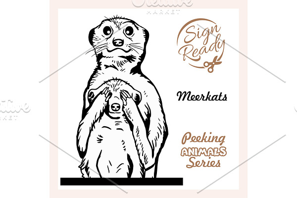Meerkats - mom and baby - vector