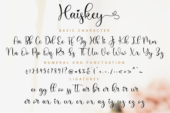 Haiskey // Lovely Script Font in Script Fonts - product preview 10