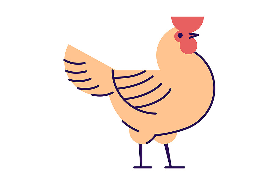 Orange rooster flat illustration