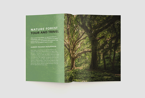 Travel Catalogue Brochure in Magazine Templates - product preview 9