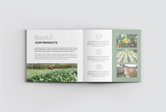Agriculture Square Company Profile in Magazine Templates - product preview 7
