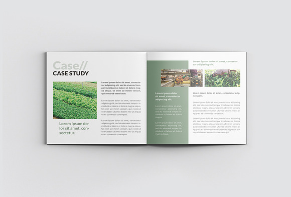 Agriculture Square Company Profile in Magazine Templates - product preview 9