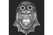 Gorilla, monkey. Aviator leather