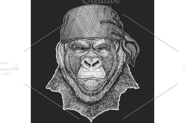 Gorilla portrait. Monkey, ape