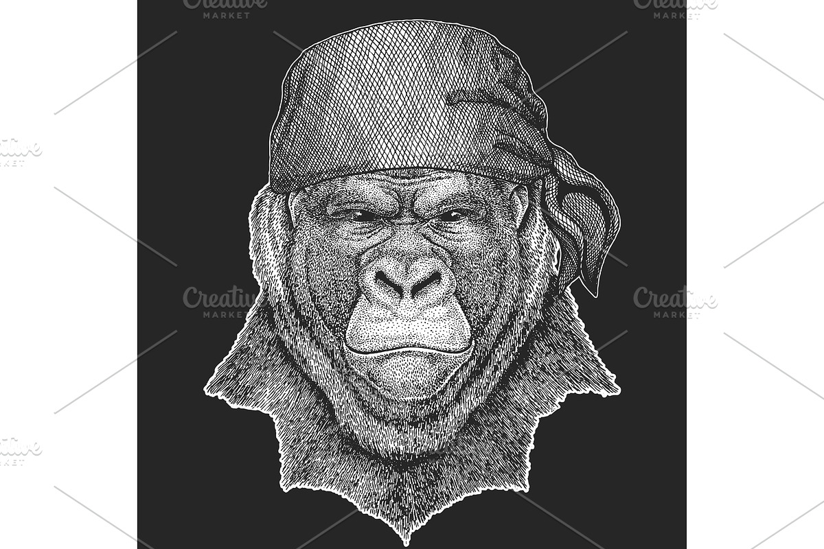 Gorilla portrait. Monkey, ape in Illustrations - product preview 8