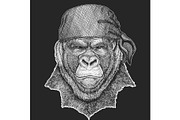 Gorilla portrait. Monkey, ape