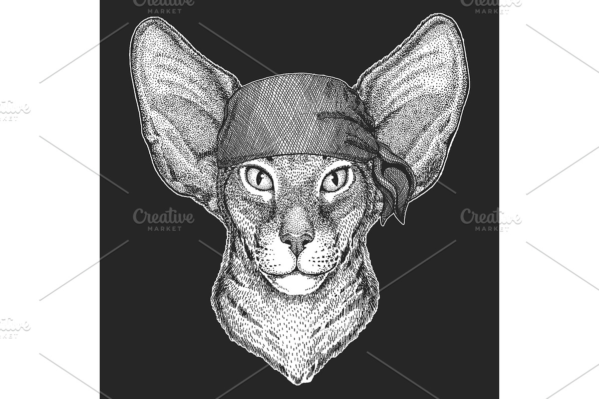 Oriental shorthair cat head. Bandana in Illustrations - product preview 8