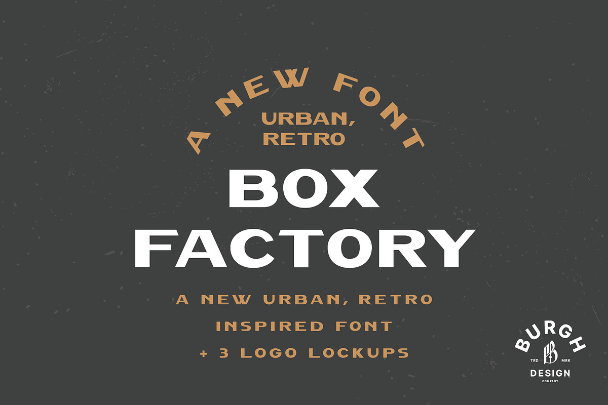 Box Factory - Vintage Sans Serif in Sans-Serif Fonts - product preview 8