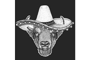 Buffalo, bison, bull head. Sombrero