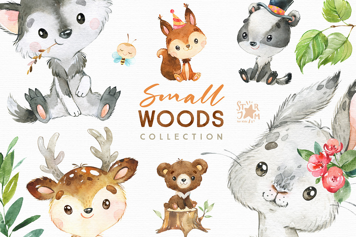 Small Woods. Animal Collection in Illustrations - product preview 8