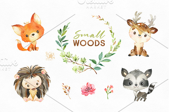 Small Woods. Animal Collection in Illustrations - product preview 3