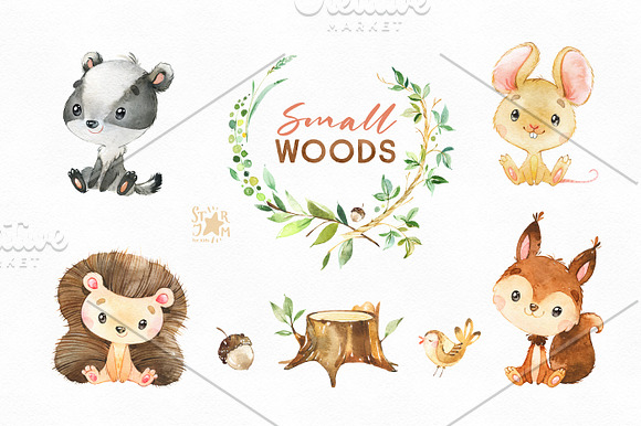 Small Woods. Animal Collection in Illustrations - product preview 6