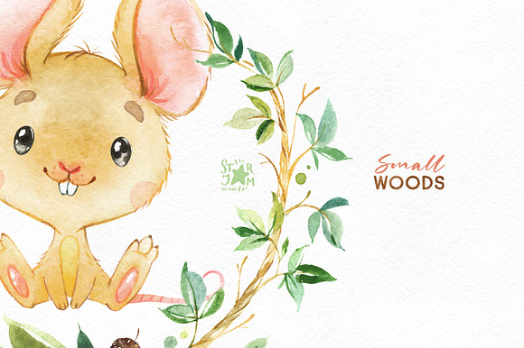 Small Woods. Animal Collection in Illustrations - product preview 8