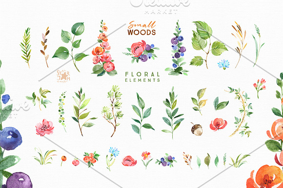 Small Woods. Animal Collection in Illustrations - product preview 9