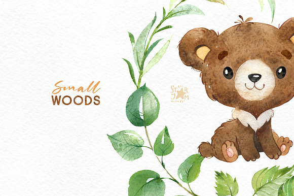 Small Woods. Animal Collection in Illustrations - product preview 10