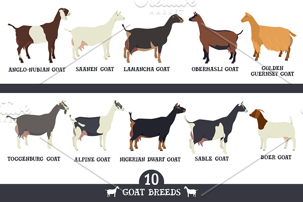 Goat breeds