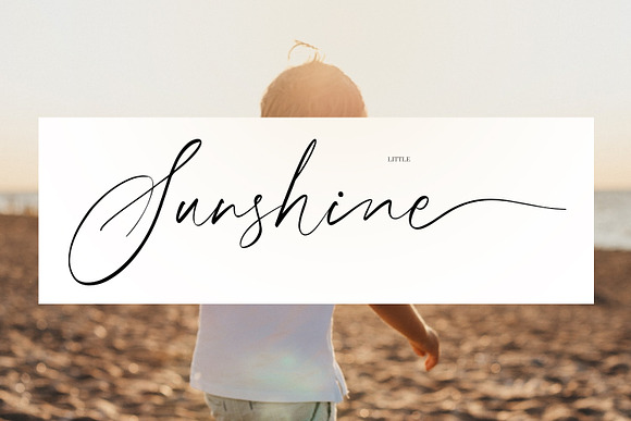 Calimbria Font in Script Fonts - product preview 8