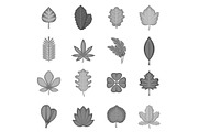 Different leafs icons set monochrome