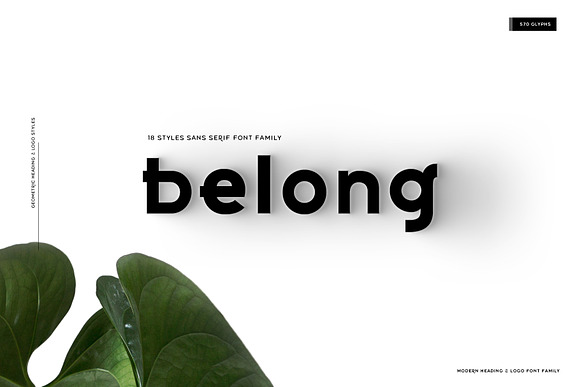 Belong Logo and Heading Font Family in Sans-Serif Fonts - product preview 15